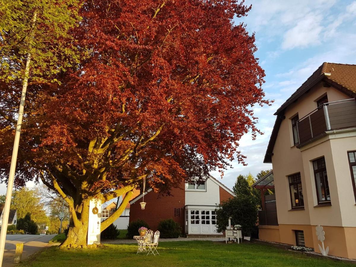 Ostsee Ferienwohnung Pelzerhaken 노이슈타트인홀슈타인 외부 사진
